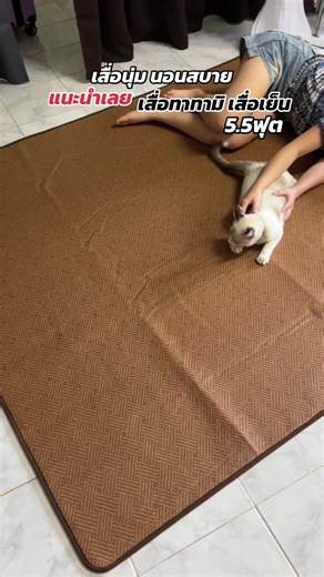 เสื่อไม้ไผ่ธรรมชาติ เบาแต่ทน ปูแล้วไม่ลื่น ทำความสะอาดง่าย เลิฟเลย #พรมปูพื้น #เสื่อไม้ไผ่ #เสื่อไม้ไผ่ธรรมชาติ #เสื่อไม้ไผ่ญี่ปุ่น #เสื่อทาทามิ
