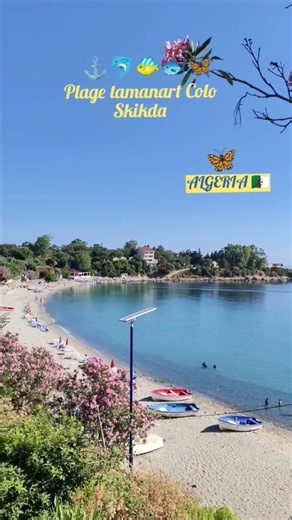 aziouz45 : plage tamanart Colo Skikda ALGERIA ⚓🇩🇿
