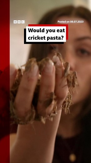 The insects are frozen, boiled, dried, and then pulverised into a powder. #Cricket #Insect #Pasta #FoodTikTok #Italy #Environment #BBCNews