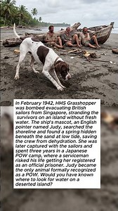 Stranded With No Water on a Deserted Island, She Found the Spring No One Else Could.