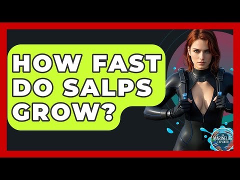 How Fast Do Salps Grow? - The Marine Life Explorer