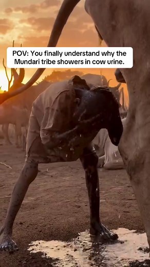 Mundari Tribe's Ingenious 'Shower' in South Sudan