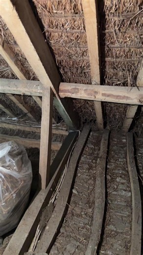 Exploring the Age of Thatched Roof Cottages