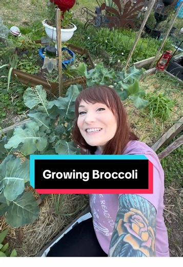 Easy Tips for Growing Broccoli at Home