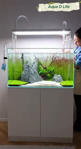 Watch this full timelapse of setting up a beautiful planted aquarium from scratch. 🌿 One of the most important steps is filling the tank with water without disturbing the aquascape. In this video, I use a simple trick — placing a plate / plastic sheet / tissue layer while pouring water — to prevent the substrate and plants from getting displaced. This easy method keeps your hardscape and plant layout exactly the way you designed it. If you love aquascaping tips and practical aquarium tricks lik