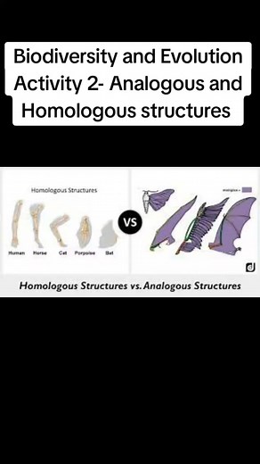Homologous y Estructuras Análogas en Biología