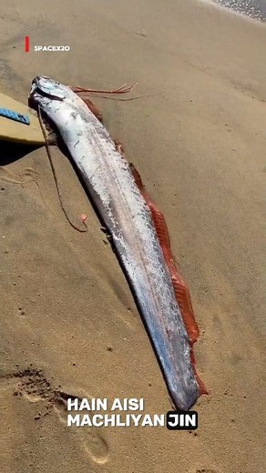 Mysterious Ocean Phenomenon – What’s Happening . . . . follow for more information ❤️🌎 . . . . #science #sciencefacts #MysteriousOcean #DeepSeaSecrets #OceanMystery #Unexplained #StrangePhenomenon #MarineLife #viralreelsシ #SeaCreatures #OceanFacts #BreakingNews | Imran Karime