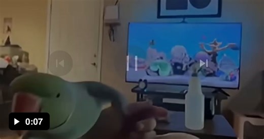 󠇃󠇃󠇃 󠇃󠇃󠇃 - Video