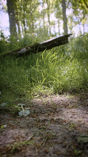 4.9K views · 18 reactions | Footsteps in the forest. A Morse code signal in the air. Three legends are on a journey to a hidden cabin. Their challenge? Decode signals. #PMELegendDTJ #DecodeTheJourney | PME Legend American Classic | Facebook