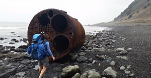 8 of the most interesting things people found on the beach