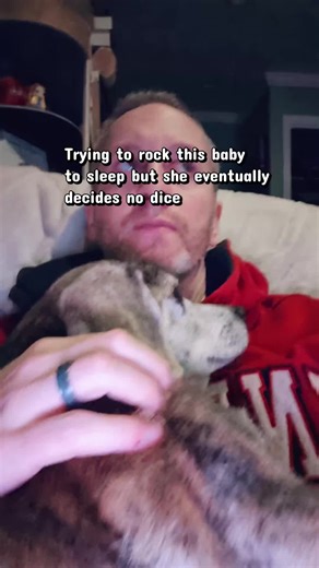 almost had her! ❤️ #brindlebeagle #dogdementia canine cognitive dysfunction in senior dogs