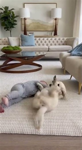Cute Baby Rolling 🤼🐾 | Puppy Walker Scene ✨ | Rope Pull Fun 🐶