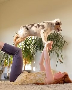 Celebrating the incomparable friendship of dogs🐾 | MetDaan