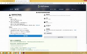 全网首发？Wimdows10 2004下载及激活教程