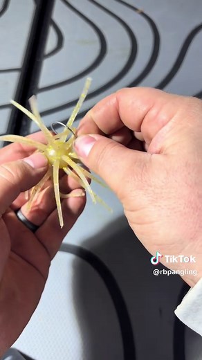 How to Rig a Hags Baits Prickly Pear for Bass Fishing