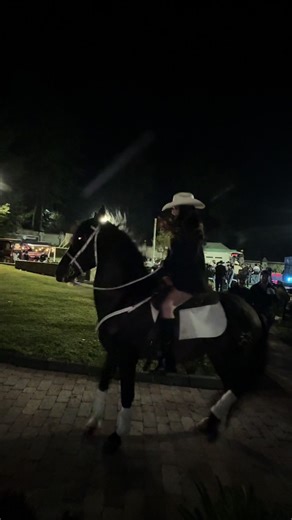 Video de Julieth Escobedo (@je.0027) relacionado con “los caballos”