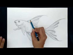 How to Draw a Butterfly Fish - Simple Sketch