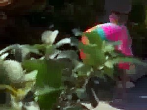 Relic Hunter - S01 E08