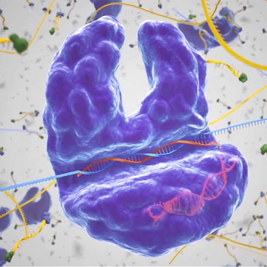 SHERLOCK: A CRISPR tool to detect disease - MIT McGovern Institute