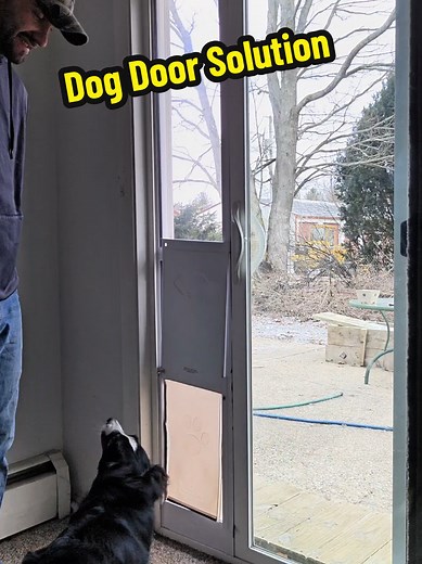 VEVOR Sliding Glass Dog Door Insert: Easy Installation