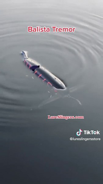 The Balista Tremor the only True Vibrating lure with L.E.D. Technology 7.87” 3 oz triple jointed with interchangeable Front bibs for wake, diving and crawling baits #balista #balistalures #lureslingersstore #gettheunfairadvantage #builtformonsters #balistatremor #vibrating #ledtechnology #fyp #fyppシ #fypシ #fypage #foryou #foryoupage #foryourepage #fishingtiktoks #snakeheadapproved #bitemonsterlures #Australia #america #topwater #swimbait #murraycod #largemouthbass #stripedbassfishing #striper #s