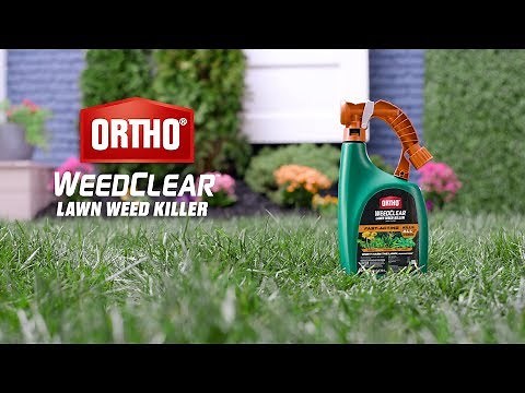 How to Use Ortho® WeedClear™ Lawn Weed Killer Ready-To-Spray