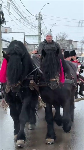 Cracking The HORSE RIDING Code #shorts #horserider #fyp