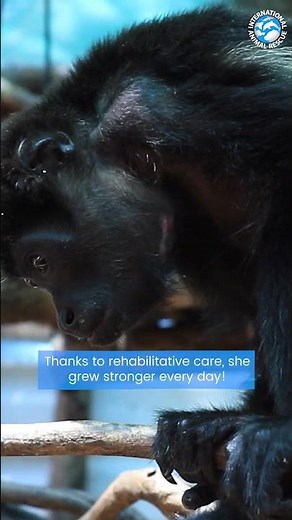 Charlotte Has An Incredible Story Of Survival...