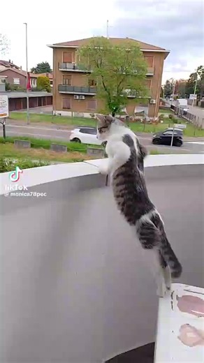 Vidéos de E.T. (@mac.fly007) avec son original - E.T.