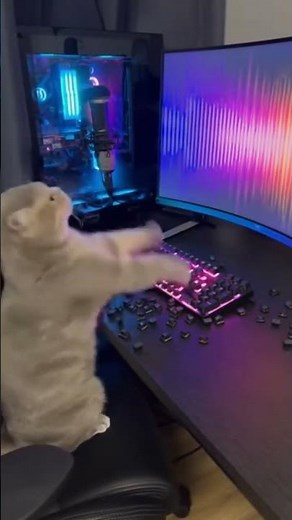 Cat Smashes Keyboard When Computer Freezes! 😂💻🐱🎮