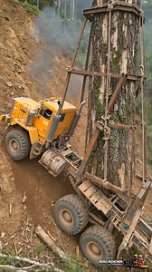 Log transport on cliff road #log #truck #USA | Heavyx