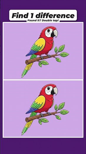 Find The 1 Difference - Parrot Edition 🦜#shorts