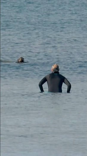 Surfer gets vibed out! 😮 #beach #local