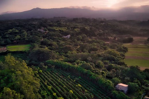 Best Things to Do in Costa Rica's Central Valley
