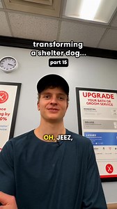 Biggie came to us matted, standing in his own mess, and with fur so overgrown he couldn’t even see. But after a much-needed grooming day, this dood just leveled up—clean ears, fresh cut, and rocking our brand new “beer” bandana (he’s 3, so that’s 21 in dog years). We just dropped 10 new Pink Tongue Bandana styles—from strawberries to beach to baseball—and 5% of every sale helps lower adoption fees for dogs like Biggie across the country. Biggie is available for adoption through Border Tails Resc