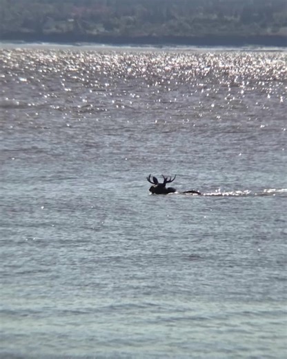 106K views · 995 reactions | Recently, we had two very unexpected...