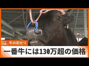 南部家畜市場で牛の初セリ 一番牛の価格は139万超 全国から牛の買い付けに訪れる