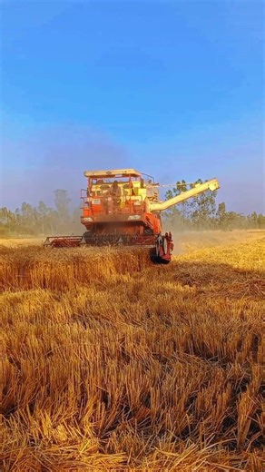 harvester #viral#trending#viralvideo