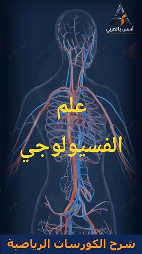 أساسيات التدريب الرياضي للمبتدئين مع أسس بالعربي
