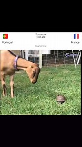 81K views · 3.6K reactions | Football Scenarios | Football VARPosting | Facebook