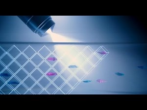 Genius Digital Diagnostics System volumetric imaging (EU)