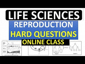 HUMAN REPRODUCTION, HARD QUESTIONS , LIFE SCIENCES GRADE 12 LIFE SCIENCES GRADE 12 [THUNDEREDUC]