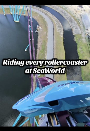 Thrilling Roller Coasters at SeaWorld Orlando