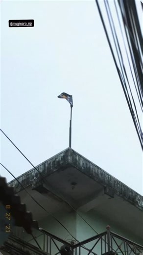 Mugiwara Store_np🇳🇵 on Instagram: "Happy Customer 😁🙏🏻🙏🏻"