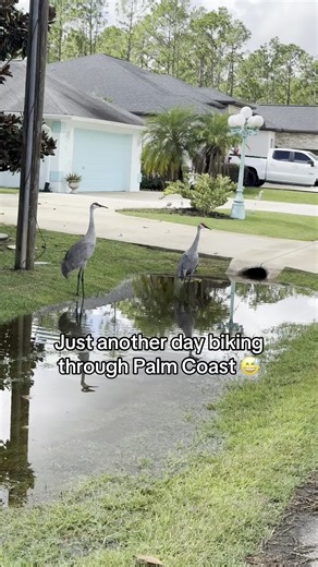 Morning Ride Adventures in Palm Coast, Florida