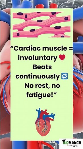 👉 Cardiac Muscle Explained ❤️ | NEET Biology | Heart Muscle Concept