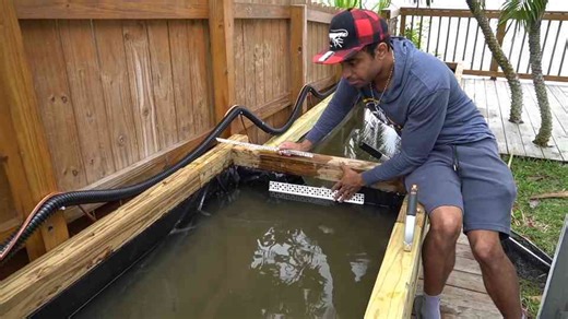 Archer fish pond - training begins