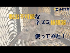 脱出不可能なネズミ捕獲器 使ってみた！かんたん設置方法で「ねずみ」を生け捕り！トラバサミ式ではなくカゴ式なので罠に掛かっても死んで血を吐いてるネズミを処理しなくて済む