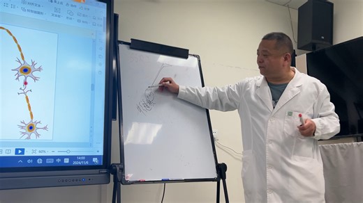 精神科医生必需要了解的5-HT1A受体问题