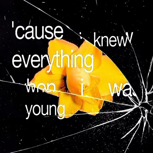 Cardigan - Taylor Swift lyrics 💛